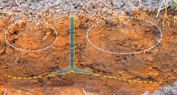 Obr. 1: Profil půdy po zpracování kypřičem s poloparabolickými slupicemi; na obrázku je patrný kypřící efekt kypřící radlice - žlutá přerušovaná čára dokumentuje zlom mezi zpracovanou a nezpracovanou vrstvou půdy, světle modrá čára vyznačuje místa s největší koncentrací uložení posklizňových zbytků; povrch půdního profilu je pro zvýraznění plasticity překryt reflexní barvou