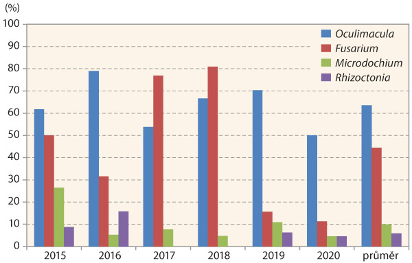 Graf 1: Zastoupení původců chorob pat stébel v napadených vzorcích pšenice z území ČR v letech 2015–2020