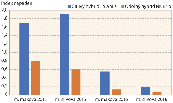 Graf 1: Porovnání indexu napadení mšicí makovou a mšicí slívovou u citlivého a odolného hybridu slunečnice v letech 2015 a 2016