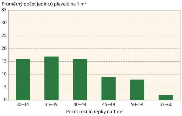  Graf 4: Průměrný počet penízku rolního v závislosti na hustotě porostů řepky