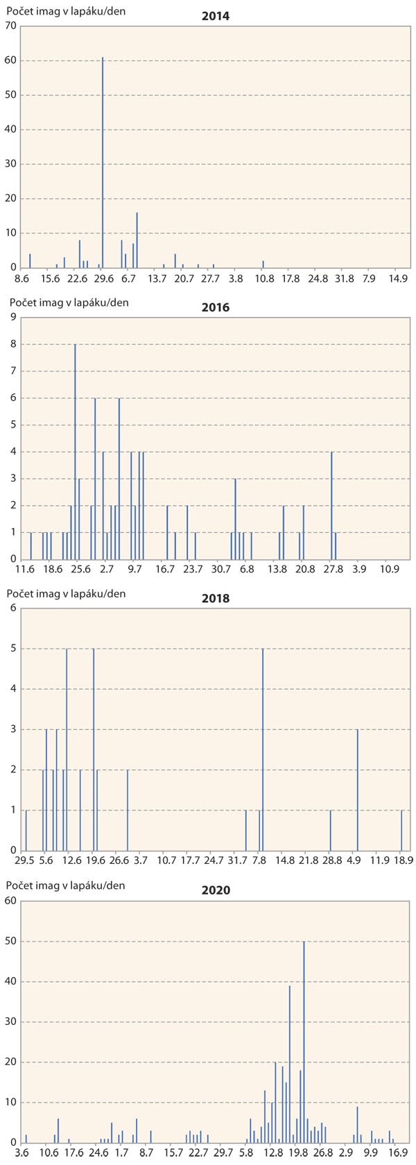 Graf: Nálety imag zavíječe kukuřičného do světelného lapače v Oblekovicích v letech 2014–2020 (zdroj ÚKZÚZ)	