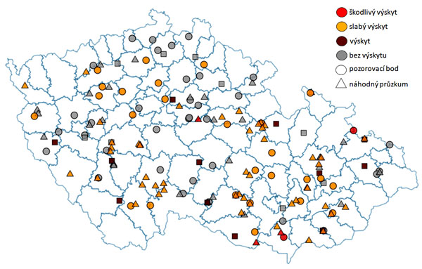 Mapa: Zobrazení intenzity výskytu zavíječe kukuřičného v jednotlivých okresech ČR v roce 2020 (slabý výskyt = méně než 20 % poškození, škodlivý výskyt = více než 20 % poškození), pozorovací bod = lokalita, na které se provádí pravidelný monitoring výskytu škodlivého organizmu v aktuální plodině, náhodný průzkum = záznam výskytu škodlivého organizmu kdekoli mimo pozorovací bod podle momentální situace (zdroj rostlinolékařský portál)