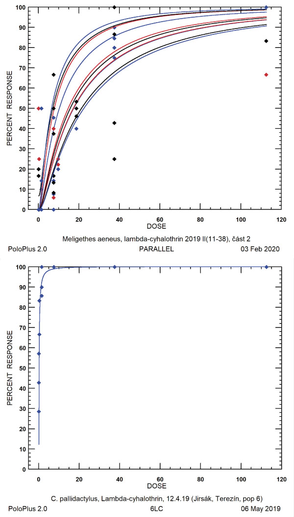 Graf 3: Na ose X je dávka pyretroidu lambda-cyhalothrin v g/ha (registrovaná dávka = 7,5 g/ha). Na ose Y je mortalita (%) vyvolaná určitou dávkou. Srovnejte rozdíl mezi dávkou (osa X) potřebnou na dosažení např. 90% mortality u krytonosce čtyřzubého (vlevo) a různých českých populací blýskáčka řepkového (vpravo).