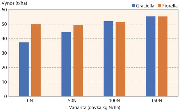 Graf 2: Vliv dusíkatého hnojení na výnos hlíz jakonu (t/ha)