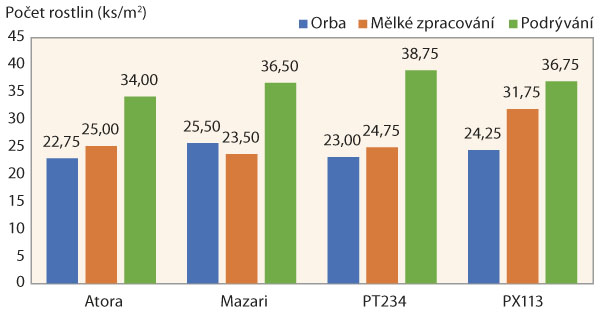 Graf 2: Vliv zpracování půdy na počet rostlin na 1 m2 v roce 2019