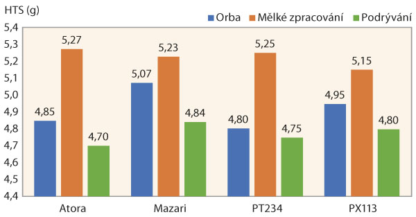 Graf 3: Vliv zpracování půdy na ovlivnění hmotnosti tisíce semen (HTS) v roce 2019