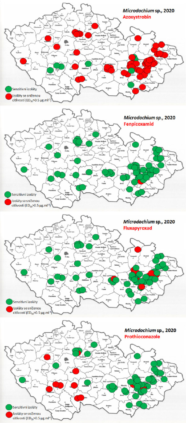 Mapy citlivosti k fungicidům u populací Microdochium sp. v roce 2020