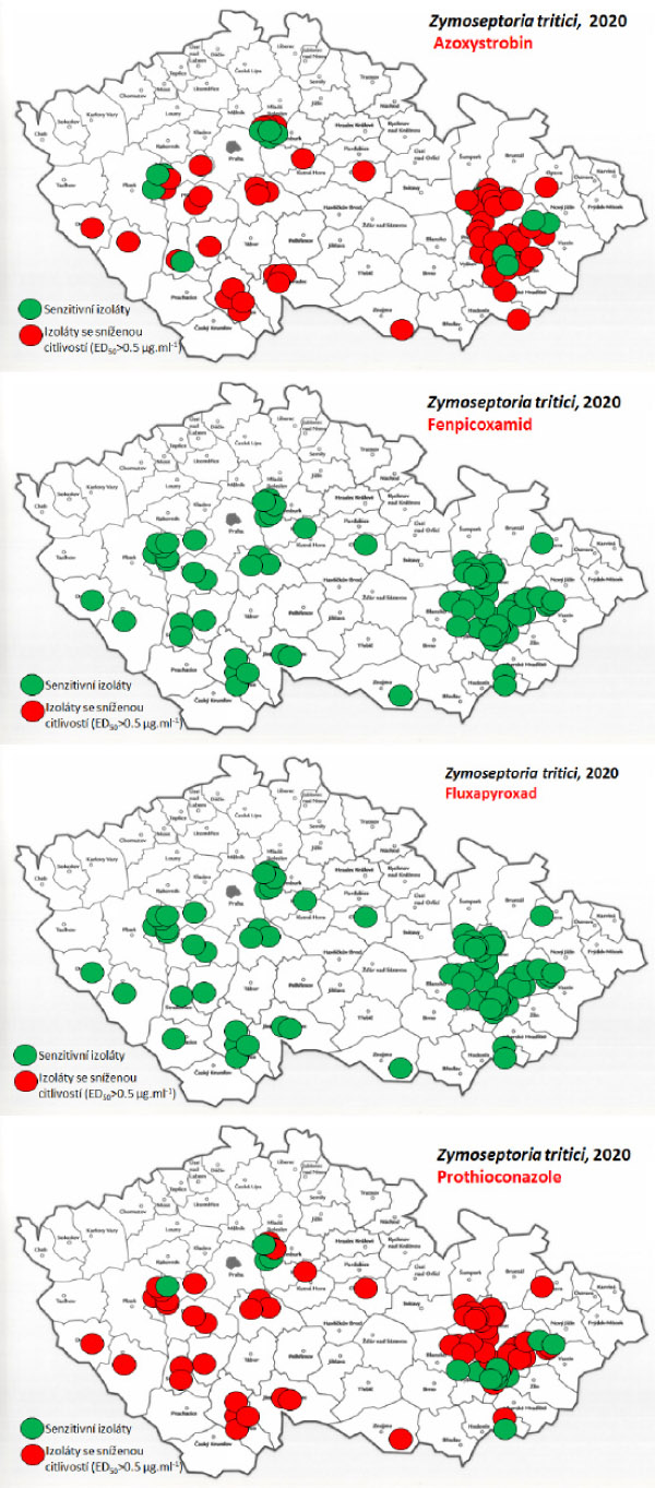 Mapy citlivosti k fungicidům u populací Zymoseptoria tritici v roce 2020