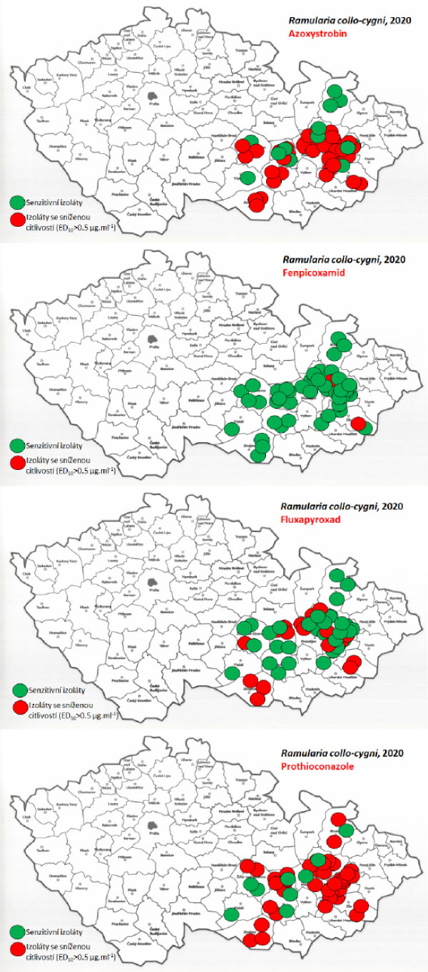 Mapy citlivosti k fungicidům u populací Ramularia collo-cygni v roce 2020
