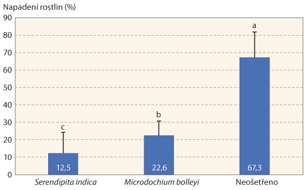 Graf 1: Procentuální hodnocení přítomnosti symptomů na rostlinách ječmene jarního po napadení patogenní houbou rodu Fusarium; rostliny inokulované mutualistickou endofytickou houbou Serendipita indica, nepatogenním endofytem Microdochium bolleyi a neošetřená varianta - aplikace endofytických organizmů měla statisticky průkazný účinek v potlačení symptomů napadení LSD0,05; N = 12
