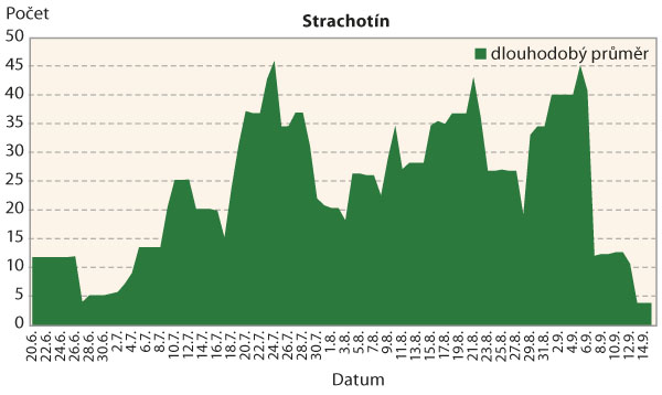 Graf 4: Průběh výskytu bázlivce kukuřičného v porostu (červen–září) - dlouhodobý normál pro lokalitu Strachotín
