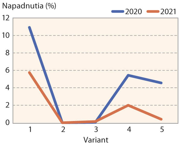Graf 1: Percento napadnutia hrdzou plevovou na odrode PS Sunanka v rokoch 2020 a 2021 (BBCH 75, zástavovitý list)