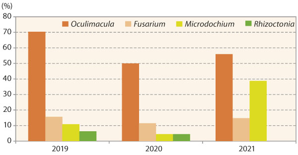 Graf 1: Procentuální výskyt patogenů ve vzorcích ozimé pšenice v letech 2019–2021