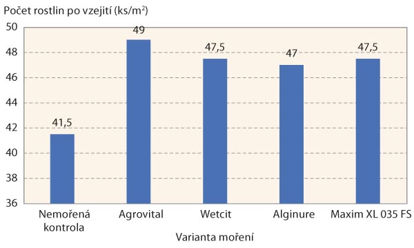 Graf 2: Počet rostlin po vzejití u jednotlivých variant ošetření osiva sóji v Červeném Újezdě