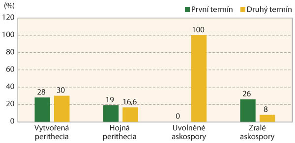 Graf 3: Vývoj plodnic a uvolňování infekčních zárodků ve dvou termínech v roce 2021