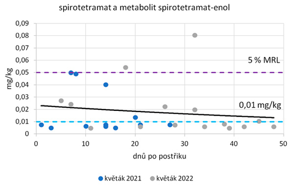 Graf 3: Průběh degradace spirotetramatu v sumě s metabolitem spirotetramat-enol v květáku