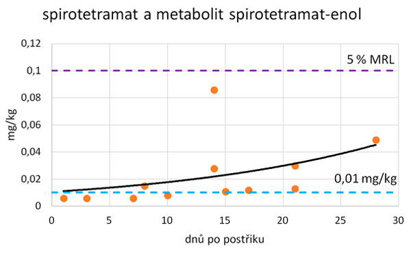 Graf 4: Průběh degradace spirotetramatu v sumě s metabolitem spirotetramat-enol v zelí
