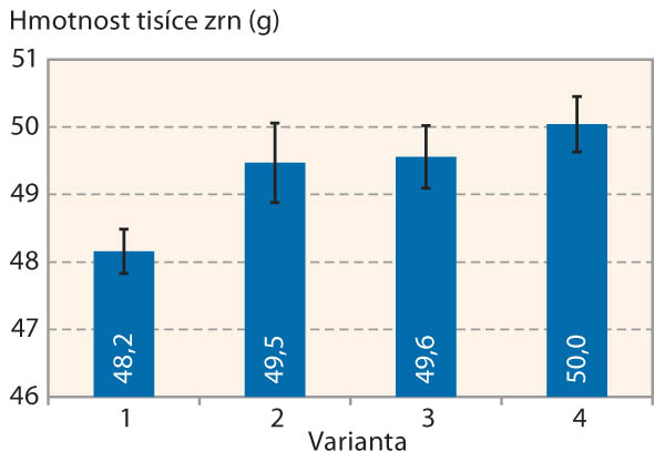 Graf 4: Vliv ošetření na hmotnost tisíce semen (2021)