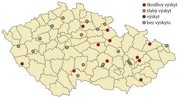 Mapa 2: Maximální výskyty dospělců krytonosce kořenového v roce 2022 na území České republiky