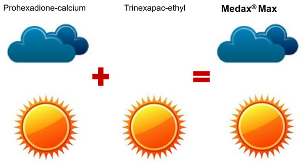Medax® Max účinkuje za každého počasí