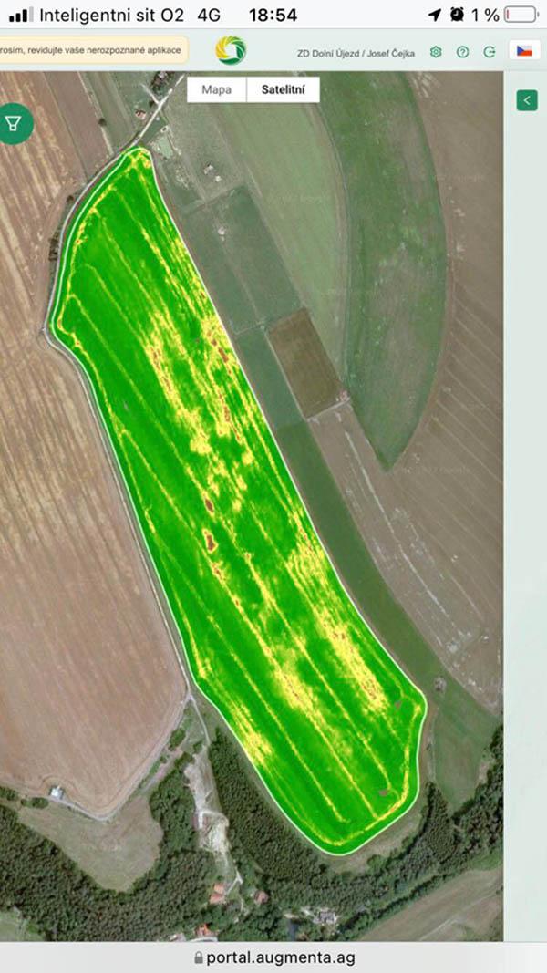 Aplikační mapa pozemku s porostem řepky - plochy poškození jsou jasně definovány, v těchto místech není potřeba hnojit ani aplikovat fungicidy; problematická místa v řepce vymezují snímky ze satelitu a AUG index