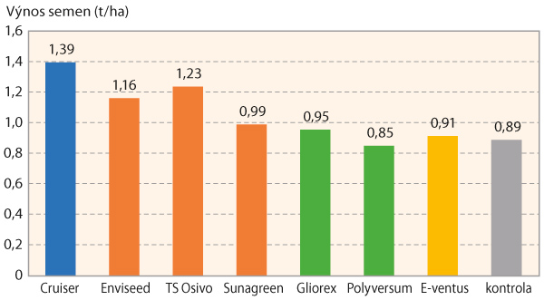Graf 4: Vliv ošetření osiva na průměrný výnos semen