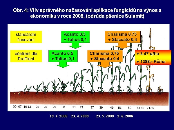 Obr. 4: Vliv správného načasování aplikace fungicidů na výnos a ekonomiku v roce 2008, (odrůda pšenice Sulamit)