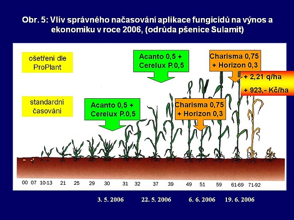 Obr. 5: Vliv správného načasování aplikace fungicidů na výnos a ekonomiku v roce 2006, (odrůda pšenice Sulamit)