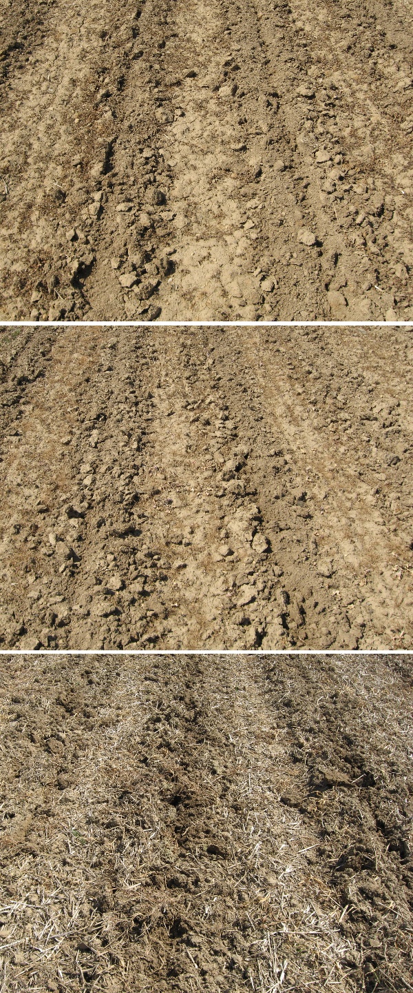Obr. 3: Stav povrchu pozemku po provedení pásového zpracování půdy na variantách 3, 2 a 5 (shora) 28.4.2009. (foto Brant)
