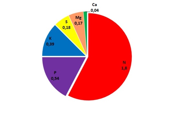 Graf 1: Průměrný obsah jednotlivých živin v zrnu ozimé pšenice (%)