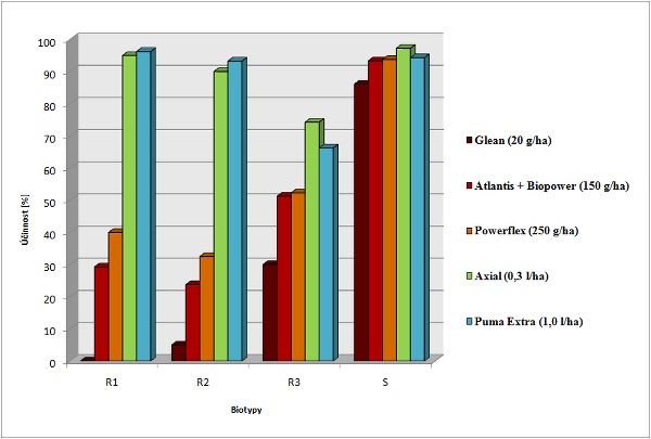 Graf: Účinnost herbicidů v doporučených dávkách na tři rezistentní (R1, R2, R3) a jeden citlivý (S) biotyp 