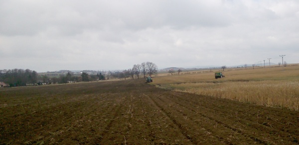 Příprava půdy pro kukuřici na jaře; na ploše byla vyseta jako meziplodina hořčice a na ní aplikováno 30 t chlévského hnoje na hektar