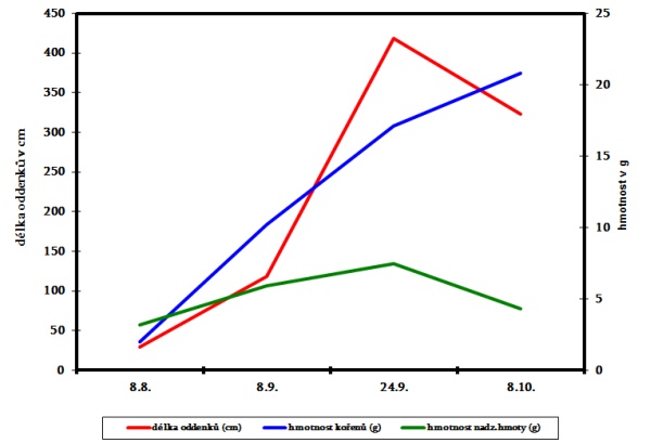 Graf 1: Dynamika růstu pýru plazivého po sklizni obilnin
