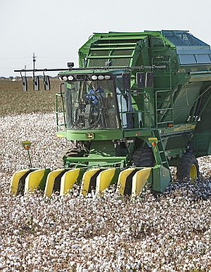 Moderní technologie šlechtění a partnerství mezi zemědělci a zpracovateli je využíváno při výrobě bavlny v USA, kde je z geneticky modifikovaných rostlin bavlny získáváno vysoce kvalitní vlákno, vhodné pro výrobu kvalitních látek s obchodní známkou FiberMax®, na fotografie vidíme Jerryho Mimmse hospodařícího na rodiné farmě v Lubecku (Texas, USA), foto Bayer CropScience.