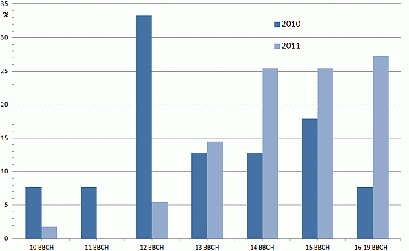 Graf 5: Růstové fáze řepek v polovině září v Čechách v roce 2010, 2011